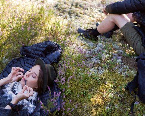 Ajattele turvallista huomista jo tänään Oletko miettinyt, mitä tarvitset tullaksesi toimeen sairauspäivärahalla, työttömyyden yllättäessä tai selviytyäksesi vakavasta sairaudesta tai vammautumisesta?