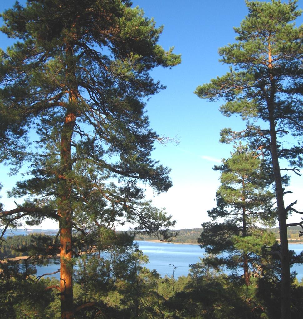 Metsähallituksen rooli Metsähallituksella on ollut aina merkittävä rooli valtion metsä- ja maankäyttöpolitiikan määrittelijänä ja toteuttajana Tässä roolissa Metsähallitus on ollut yhteiskunnan