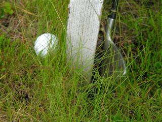 OUT OF BOUNDS Kuvan pallo ei ole ulkona.