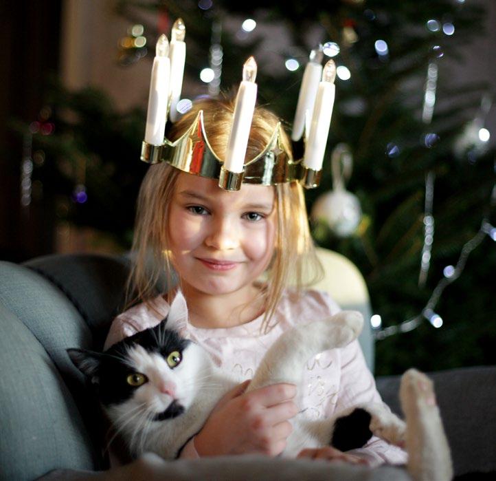 Wanhan Ajan Joulukodit * takkatuli * joulusinappi * godis * kuusenkoriste * lahja 8 Värjättyjä kananmunia ja Lucia-neito Kaksikielinen Roon perhe kunnioittaa Lucia-perinnettä siten, että tytär on