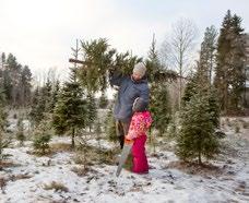 30 Tomteverkstäder för barn, Traditionscentrum Kuggom. Anmälan ostnyland@fs4h.fi 1.12 kl. 18 21 Lovisa City Shopping & Julöppning, centrum 2.12 kl. 10 16 Österstjernans julmarknad på Skeppsbron 2.