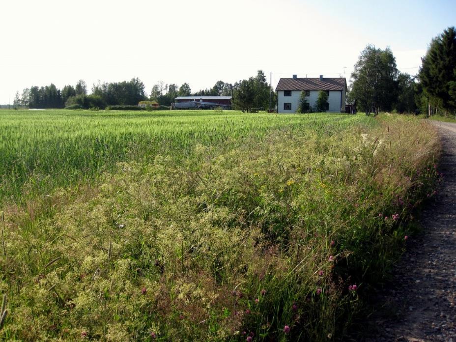 Oulunkaaren kuntayhtymä Palvelutuotannon raportointi, touko-elokuu 2015