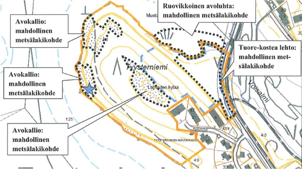 Siinä todettuja luontokohteita olivat niemen kaakkoisosan rehevä rantalehto ja sen edustan luhta sekä niemen kärjen ja keskiosan kalliot (kuva 15).