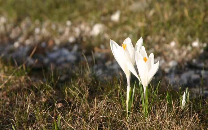 PÄÄKIRJOITUS 1.3.2014 Usein näen kouluissa ja päiväkodeissa, että lapset odottavat; ulosmenoa, ruokailun alkamista, oppitunnin aloitusta, kotiin lähtöä.