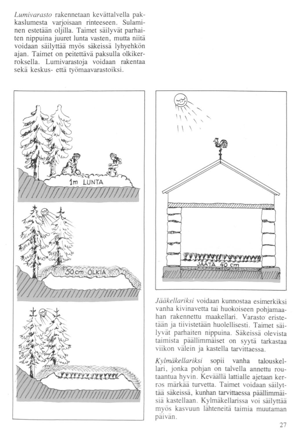 Lumivarasto rakennetaan kevättalvella pakkaslumesta varjoisaan rinteeseen. Sulaminen estetään oljilla.