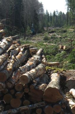 Hoito- ja hakkuusopimuksissa sovittavat asiat Selkeästi ja kattavasti laaditut sopimukset helpottavat sekä metsänomistajaa että palveluntarjoajaa tuo varmuutta molemmille osapuolille tavoitteet ovat