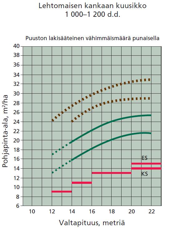 Havupuiden