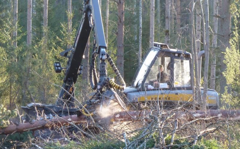 Johnny Sved Poimintahakkuu poistetaan suurimpia puita poistetaan myös viallisia, sairaita ja huonolaatuisia puita