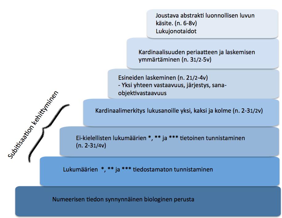 KUVA 1. Numeerisen tiedon ja taidon hierarkkinen rakentuminen. Mukaillen Mattinen (2006, 33). 2.4 Matemaattisten taitojen osa-alueet Matemaattiset taidot muodostavat jo varhain oman taitoalueensa.