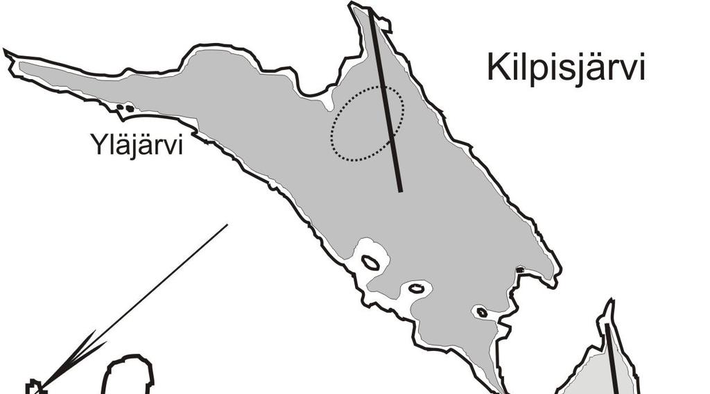 ravintoverkossa, 2) kalojen ja eläinplanktonin vuorovaikutukset sekä 3) Kilpisjärven ravintoverkon rakenne ja eri kalalajien merkitys ekosysteemissä.