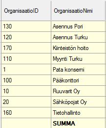 SUMMARIVI JA -SARAKE Syöttöpohjalle voidaan lisätä nappulaa klikkamalla summarivi