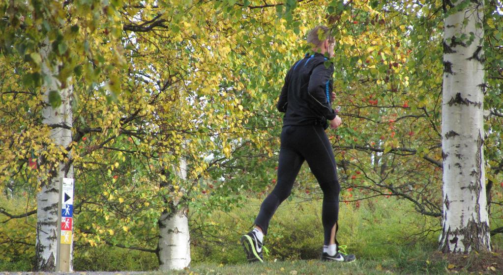 kokemusten vaihtoon sekä yhteisten hankkeiden ja