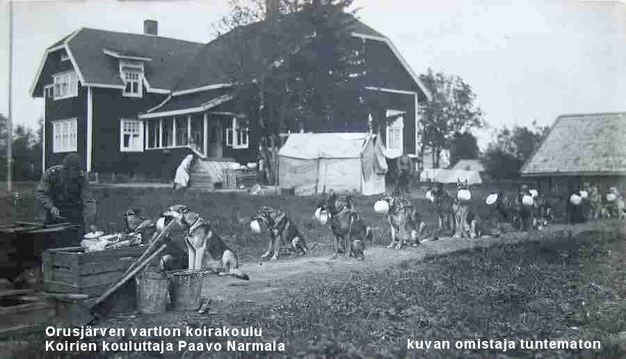KUVA: ORUSJÄRVEN RAJAVARTIOSTON KOIRAKOULU. Vaikka osa salmilaisista tunsi sympatioita itään päin, suurin osa pitäjäläisistä näyttää olleen vahvasti isänmaallista väkeä.
