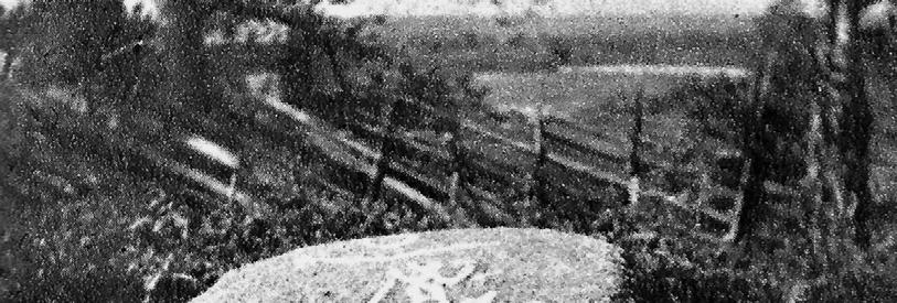 KUVA: VARISKIVI LAATOKASSA. PIIRROS TEOKSESTA KARJALAN KIRJA (WSOY 1932). Rajan vetäminen päätettiin aloittaa Laatokassa sijainneesta isosta nelikulmaisesta kivestä, jota kutsuttiin Variskiveksi.