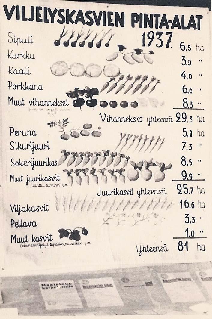 Kesällä ja syksyllä 1941 Karjalan asiain neuvottelukunta työskenteli optimistisissa tunnelmissa.