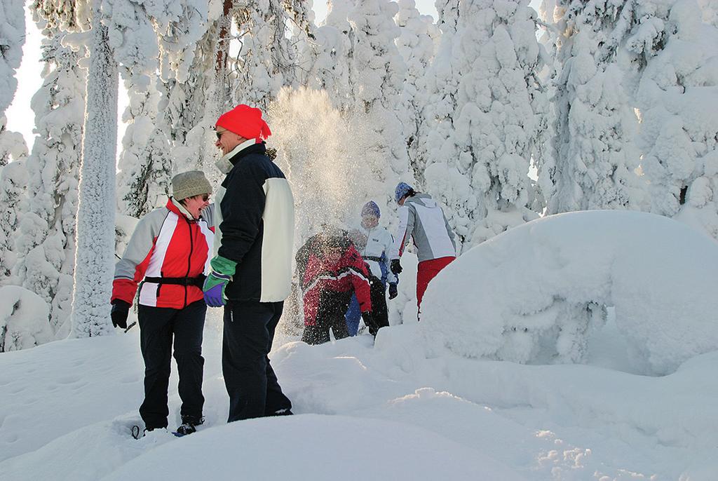 Lomatoiminta aperiliitto järjesti jäsenilleen monipuolista lomatoimintaa yhteistyössä eri lomakohteiden ja järjestöjen kanssa. Lomajärjestöt antoivat liitolle kiintiöitä ohjatuille lomille.