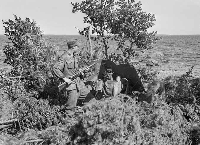 Vartiomies Kattilanniemessä Viipurinlahdella. Heinäkuu 1944.