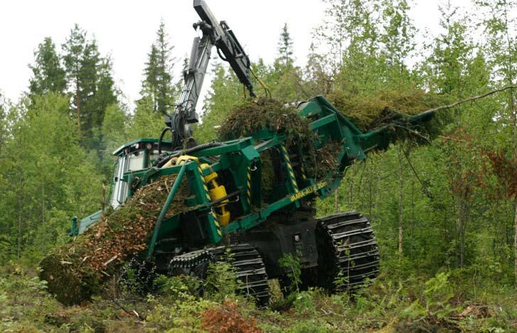 Ruotsissa käytössä oleva vihreän sähkön sertifikaattijärjestelmä kasvattaa bioenergian kysyntää.