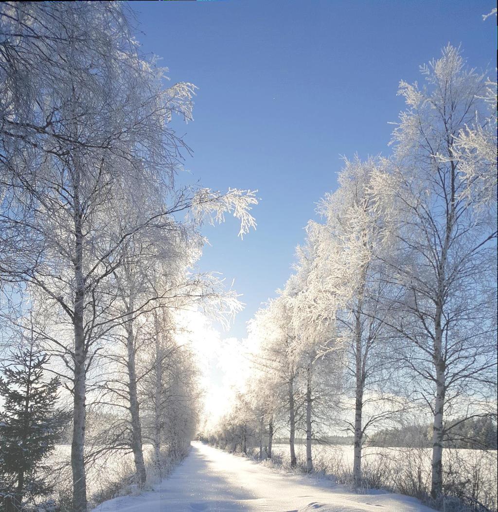 Julkinen tiedote sanomat Siikajoen kuntatiedote 12/2017