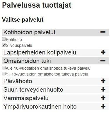 Raportille rastitetaan halutut palvelut.