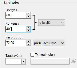 Valitse kuvan kooksi 600 x 400 pikseliä ja klikkaa "OK".