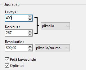 Koska "Pidä kuvasuhde" on ruksitettuna,