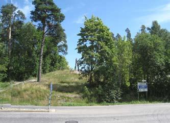 Myös suoraviivaista ja monotonista polkulinjausta voisi monipuolistaa näkymien avaamisella metsään sisään ja jättämällä kasvamaan yksittäisiä, vanhempia puita ja puuryhmiä harvennuksessa.