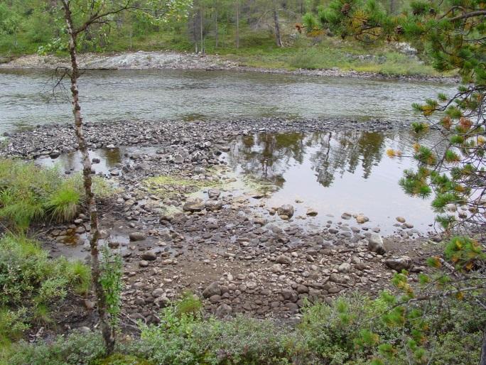 maastoluokittelussa ideaali Utsjoen alajuoksu, Savela