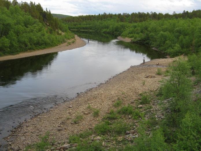 välttävä Utsjoen keskijuoksu, Patoniva (kutukantaluokittelussa mätikerroin