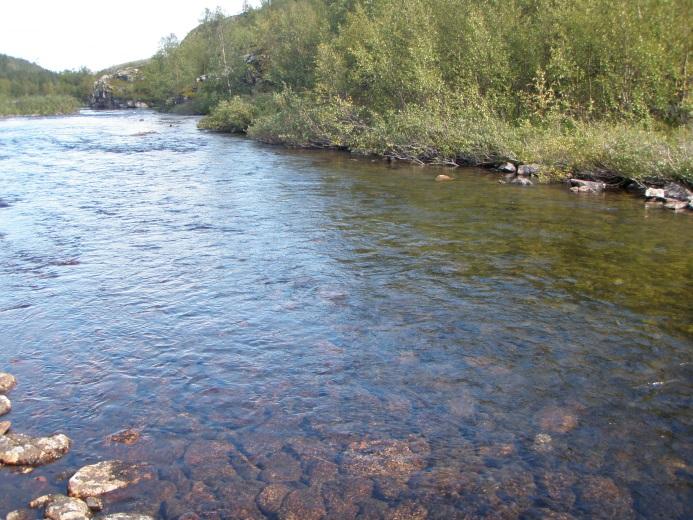 ylärajaksi. Kevojoki jatkuu jyrkkärinteisessä rotkokanjonissa vielä noin 4 kilometriä lohen nousurajasta, Fiellogahjohkan jokisuusta yläjuoksulle.