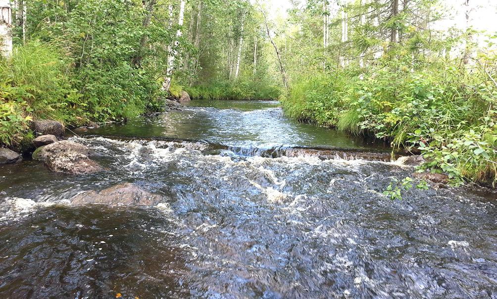 luonnollisen kaltaisia koeuomia eri tavoin kiveämällä sekä lisäämällä niihin sammalta sekä puuta, yhdessä ja erikseen.