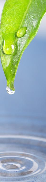 SUOMEN VESIYHDISTYS RY Water Association Finland ajankohtaista vesiyhdistykseltä WORLD WATER DAY SEMINAR Nordic Leadership in Water Management Afternoon seminar under the World Water Day 2016 theme: