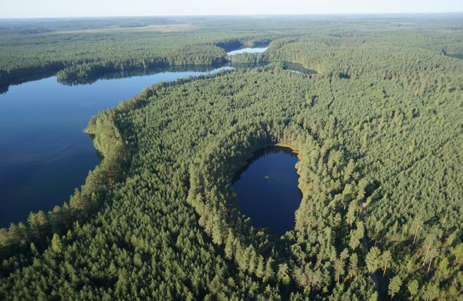 JARI ILMONEN erikoissuunnittelija Metsähallitus, luontopalvelut E-mail: jari.ilmonen@metsa.