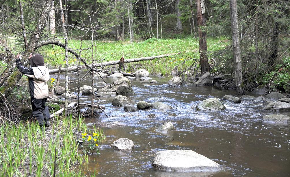 kluuvijärveksi. Lähteellä tarkoitetaan pohjaveden geomorfologista muodostumaa, joka syntyy, kun pohjaveden pinta leikkaa maanpinnan tason.