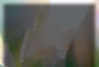 Ruokaa luonnosta. Tutkimusnumero.