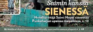 2. Moottorisahat. Vinkit autovalintaan.