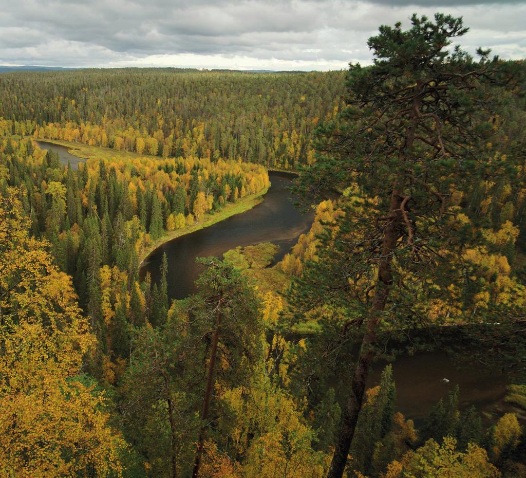 SUOMEN SKENAARIO Energiavallankumousmalli perustuu DLR-instituutin mallinnukseen.