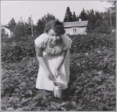 Kymmenen kopeekkaa saattoi olla vähäisemmän miehen päiväpalkka 1800-luvulla, joten kysymyksessä oli ehkä rahakätkö, jonka rippeitä nousi sattumoisin ilmoille.