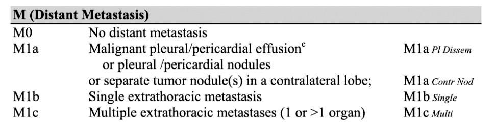 pleuran tuumorinodulukset luokitellaan M1a:ksi Etämetastaasit jaetaan luokkiin