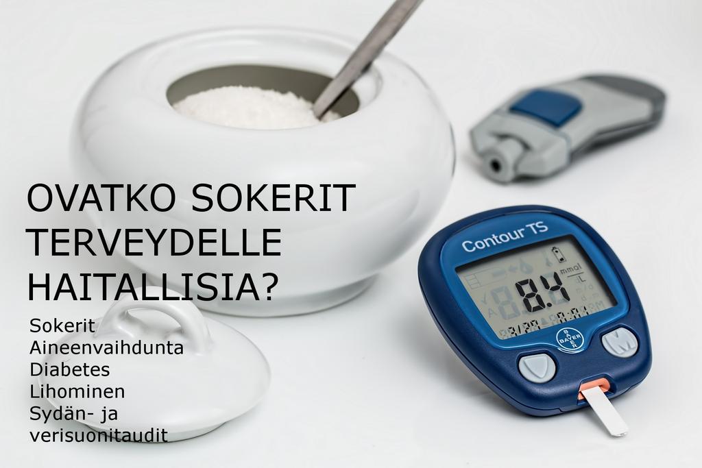 näkyvyyttä myös suomalaisissa medioissa. Miksi lisätyn sokerin määrää ja laatua tulisi tarkkailla?