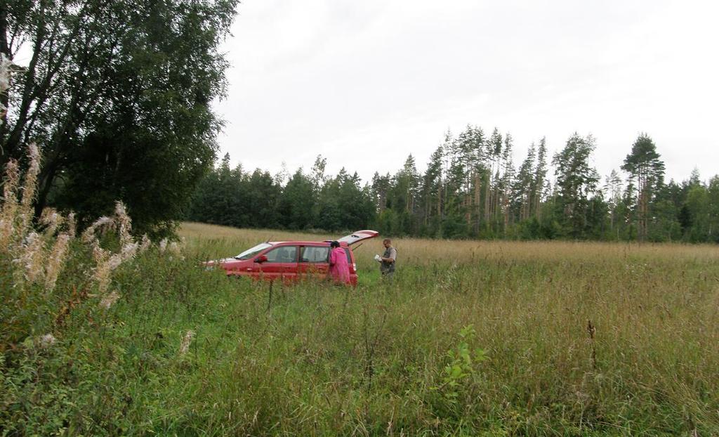 Takaisin tullessa tienhaara Vitikaisenlammen taakse löytyi, mutta lopputulos oli perille päästyä suunnilleen sama kuin entisellä Suurporkun mäellä.