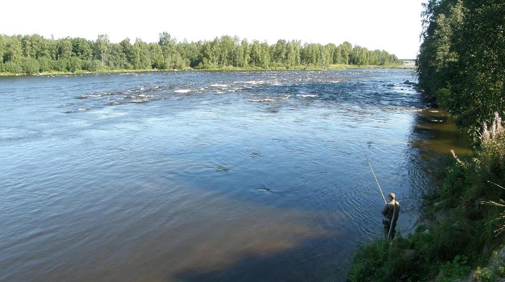 Raudusta Metsäpirttiin Toisena päivänä kävimme Metsäpirtissä, johon johti Raudusta hyväkuntoinen asvalttitie.