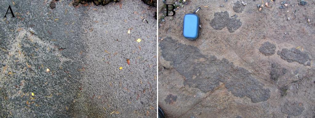 Kuva 27. Diabaasia Kasarmivaaran tutkimuskohteella. A. Heterogeenisen sarvivälkediabaasin ja magnetiittitäpläisen pyrokseenidiabaasin välinen raja (havaintopiste 317). B.