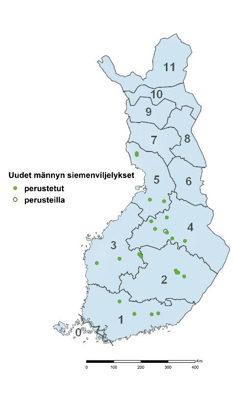 Perustetut ja perusteilla olevat kuusen valiosiemenviljelykset. Kuva 7. Tapio Silva Oy:n männyn valiosiemenviljelys sv 452, Hausjärvi, Junttila.