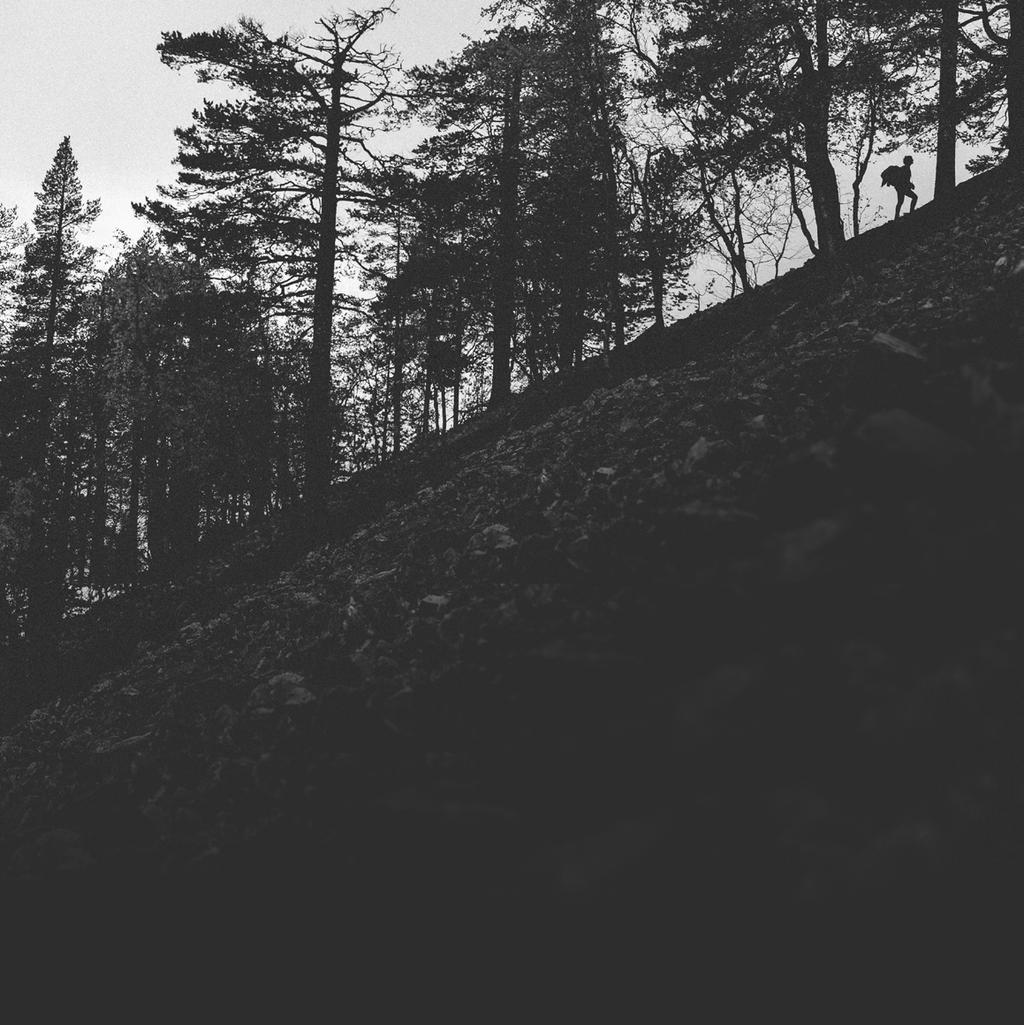 MITEN? The Symphony of Extremes -projekti kokoaa yhteen joukon ammattilaisia eri alojen huipulta.