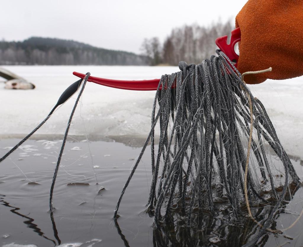 loppuraportti Jari Setälä,