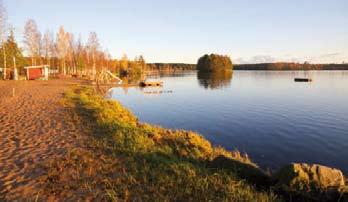 Viereisessä metsässä on parin kilometrin ulkoilureitti, joka kiertää läheisen Takalolammen kautta. Metsästä löytyy lakkaa, mustikkaa ja puolukkaa. Seudulle saa myös metsästyslupia.