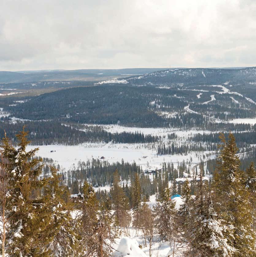 Kotimaassa Kotimaassa SYÖTE Rinteitä ja erämaata iso-syöte valittiin vuoden 2012 hiihtokeskukseksi. Vas. alueella on laaja latuverkosto ja paljon hyviä taukopaikkoja.