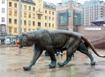 Usvaa ja sumua siellä esiintyy huomattavasti maatamme enemmän, ja samoin siellä usein tulee lunta hyvinkin runsaasti. Oslo on jokin vuosi sitten saanut maailman kalleimman kaupungin kunnian.