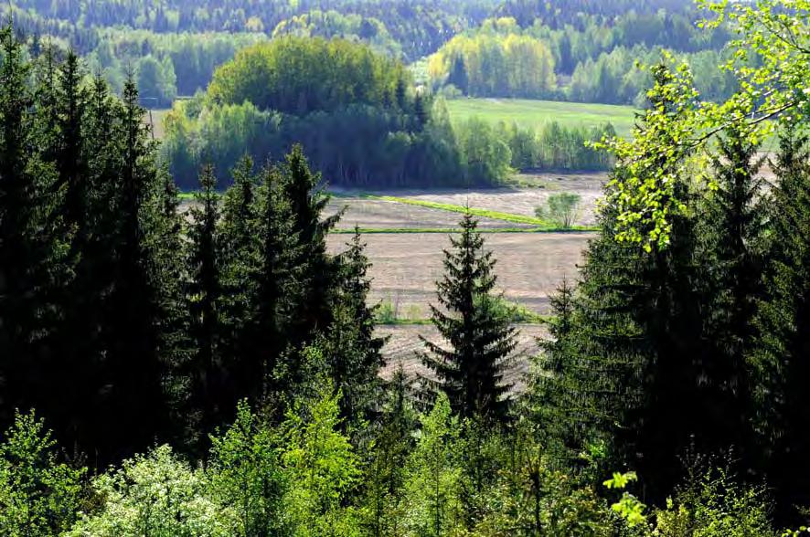 8 Uudenkylän peltoaukean kevätkesäistä vehreyttä Koulunmäeltä